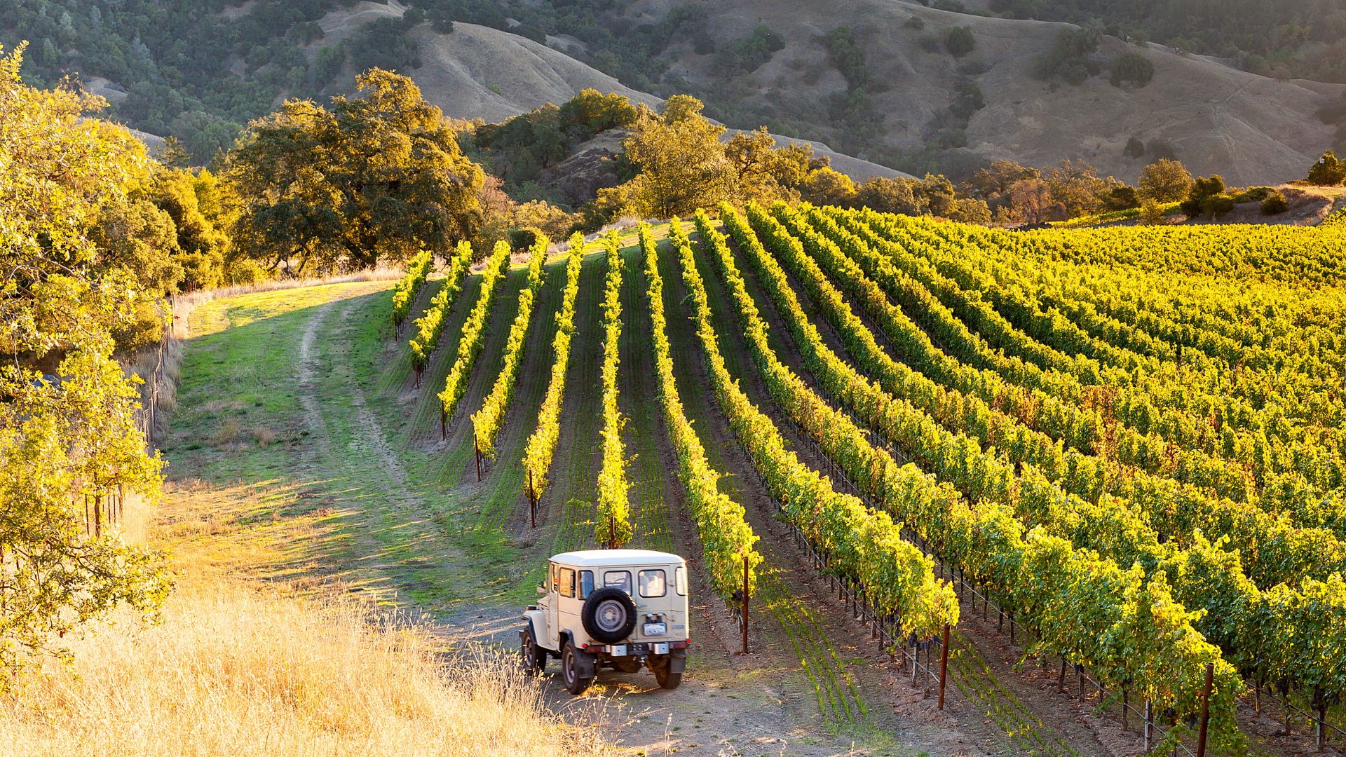 Sonoma