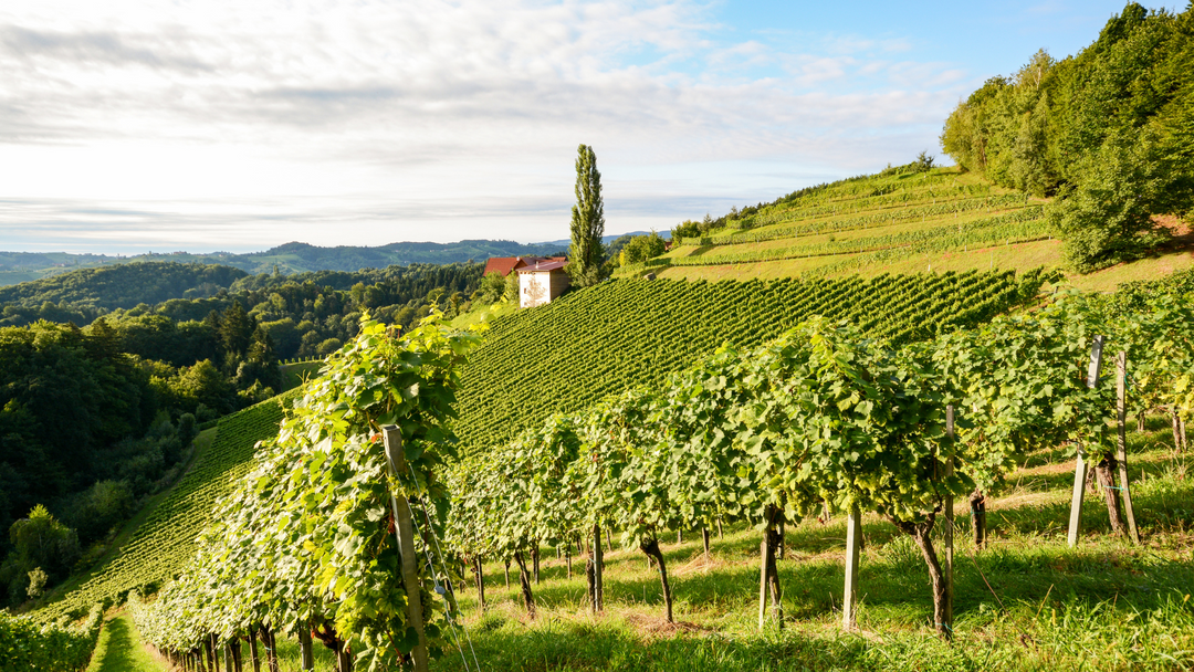 Tuscany