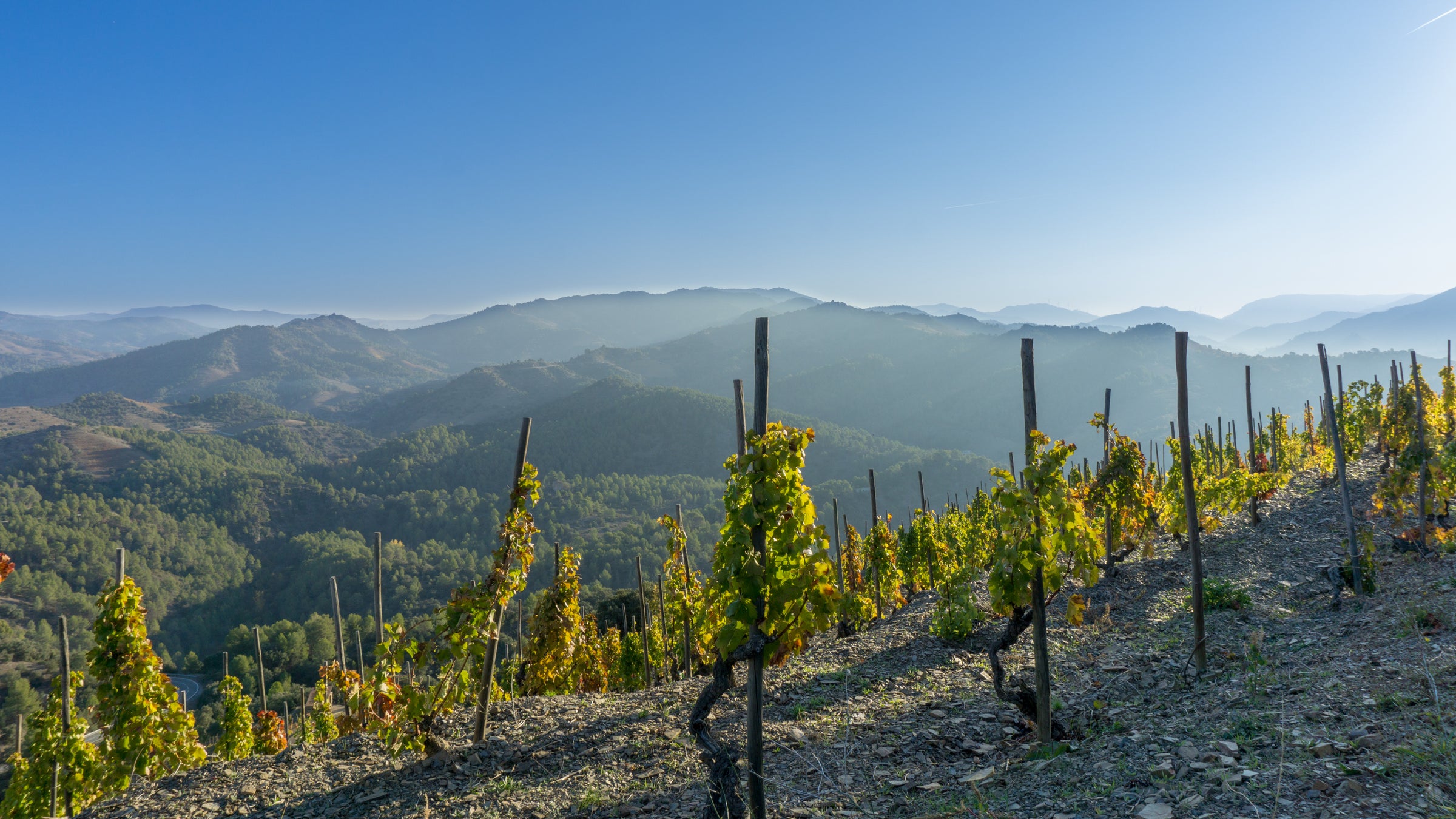 Priorat