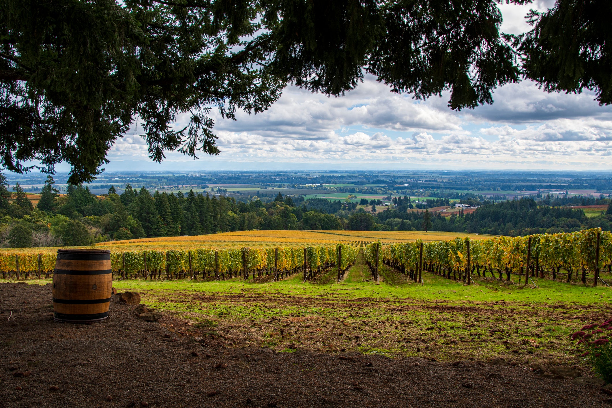 Oregon