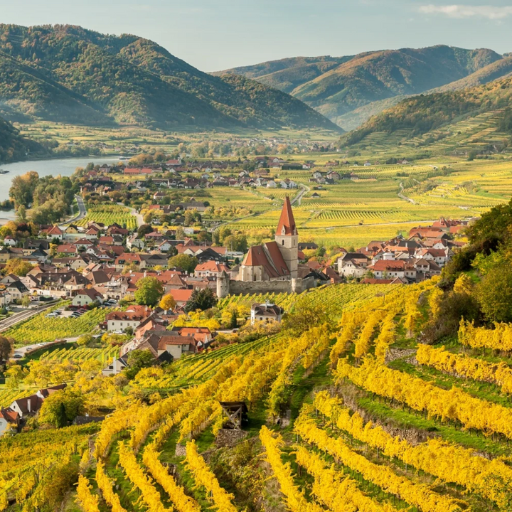 Nikolaihof Wachau Gruner Veltliner Im Weingebirge Smaragd 2019