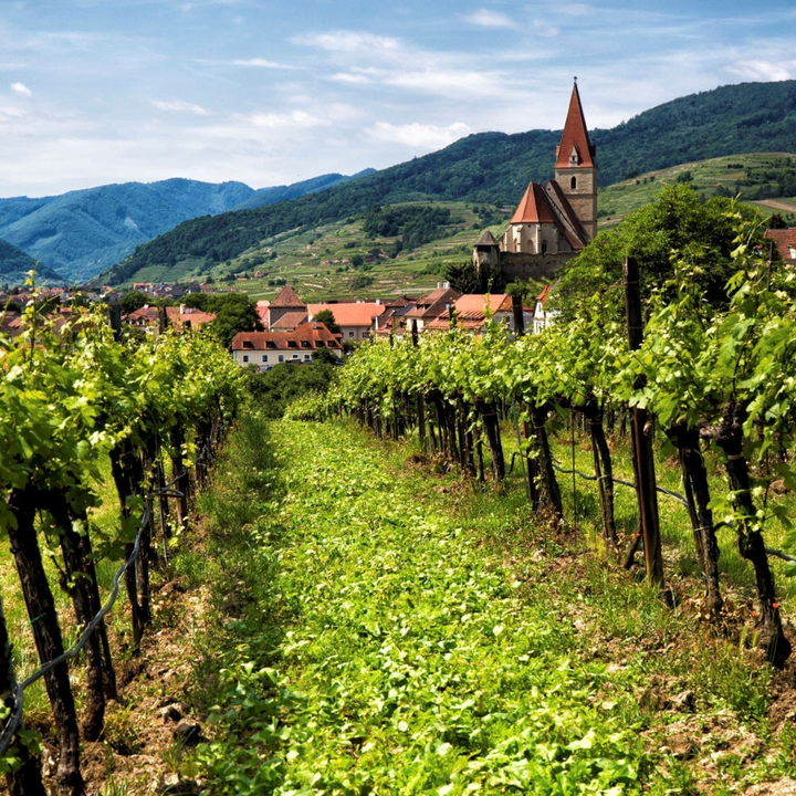 Nikolaihof Wachau Gruner Veltliner Im Weingebirge Smaragd 2019
