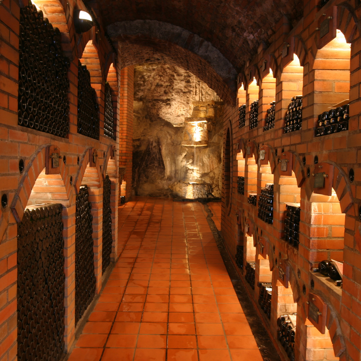 Club M - Premier Wine Club