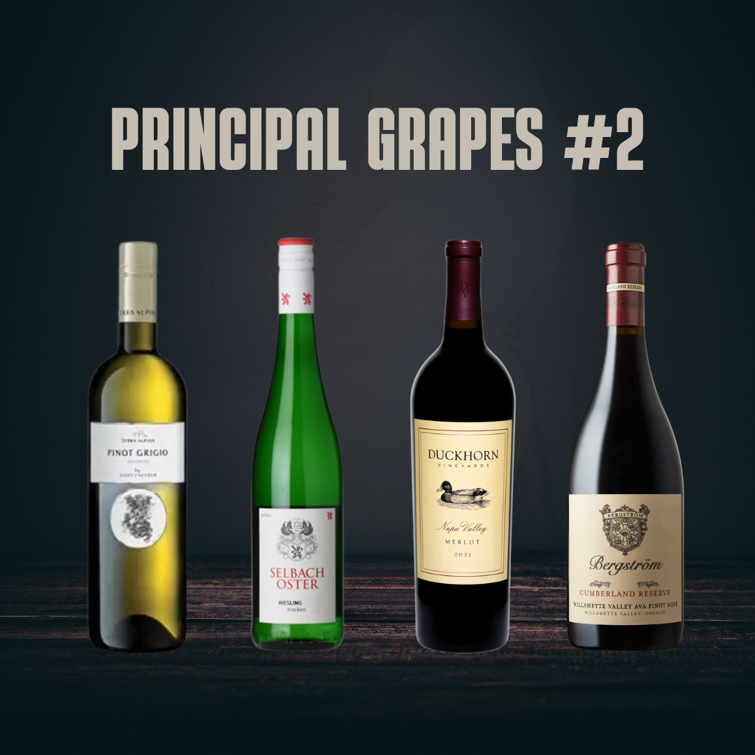 Principal Grapes II: Half Bottle Bundle for WSET / Sommelier Study