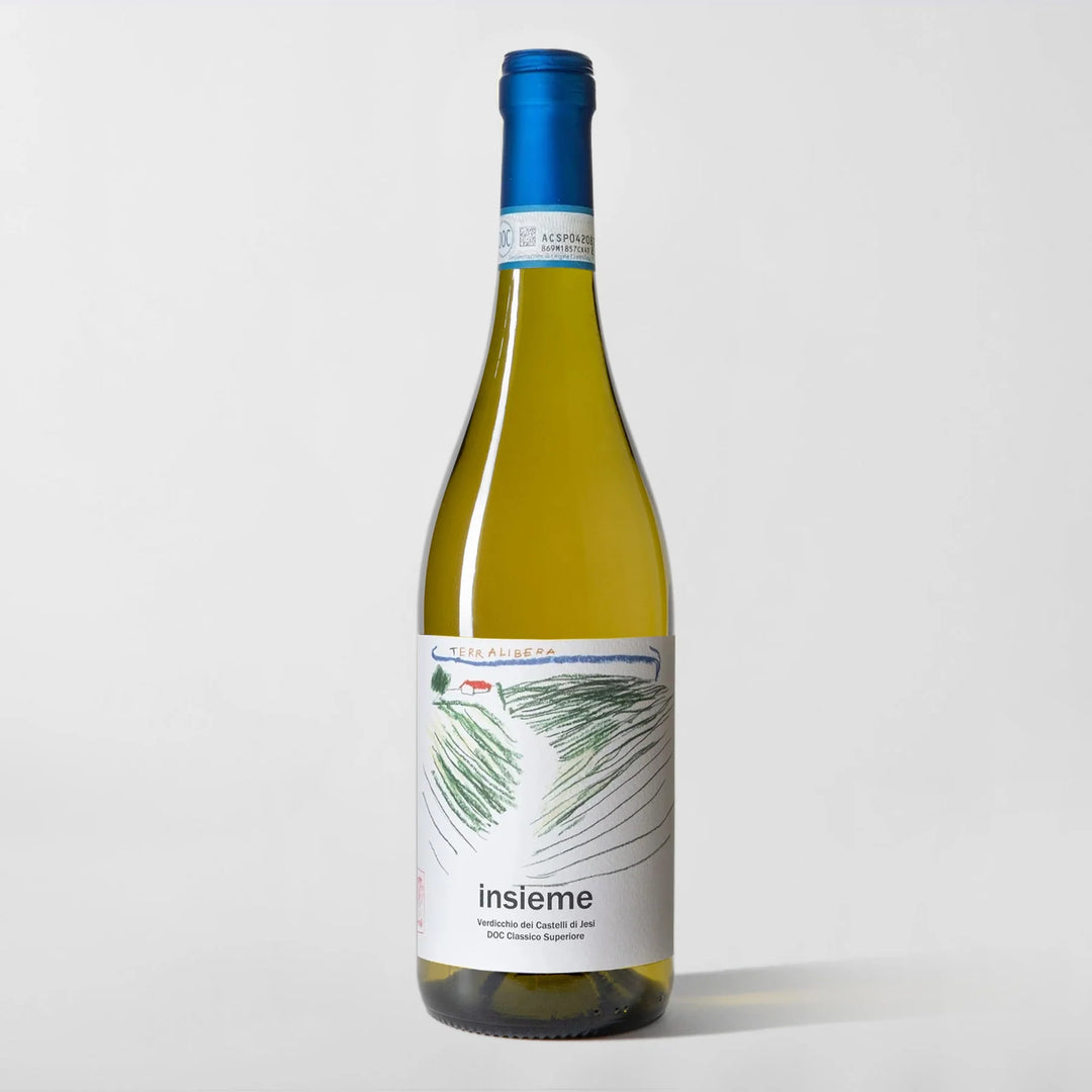 2024 Terralibera Insieme Verdicchio dei Castelli di Jesi Classico