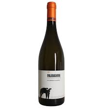 San Salvatore Falanghina 2022