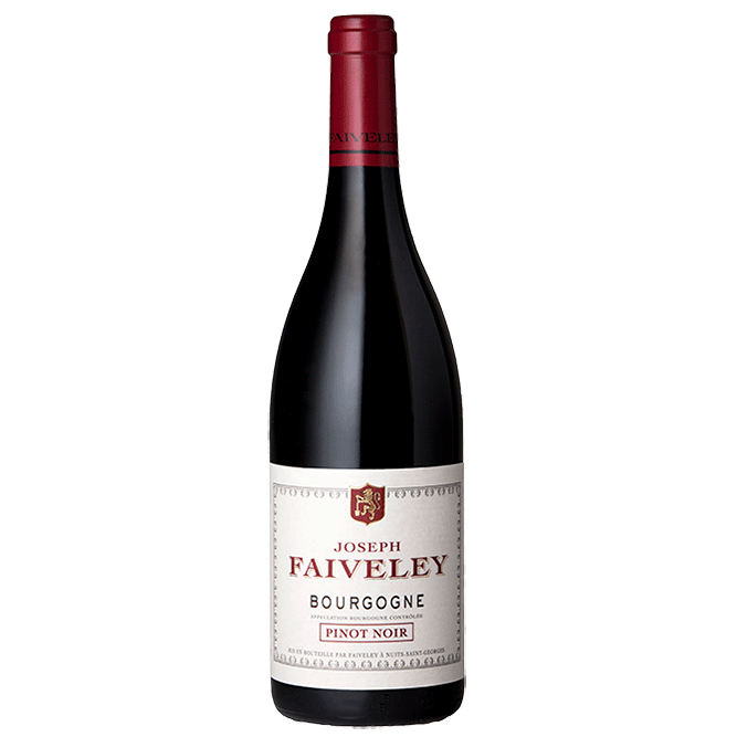 2019 Domaine Faiveley Bourgogne Rouge 1.5L Magnum