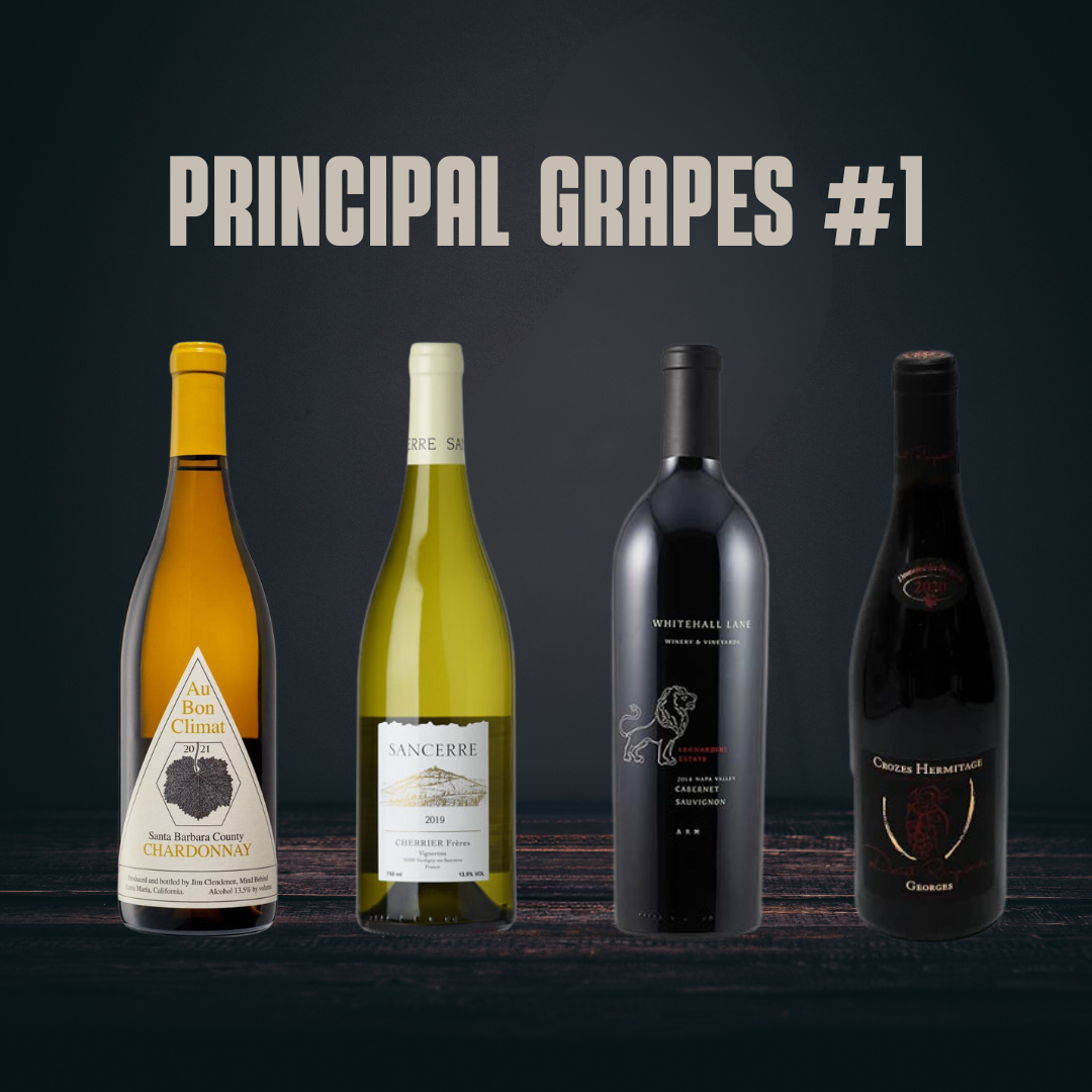 Principal Grapes I: Half Bottle Bundle for WSET / Sommelier Study