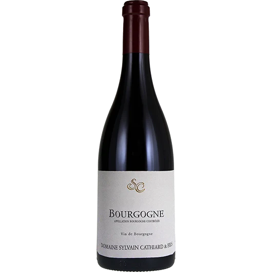 2020 Sylvain Cathiard Bourgogne Rouge