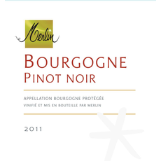 Domaine Olivier Merlin, Bourgogne Pinot Noir, Burgundy, France, 2019